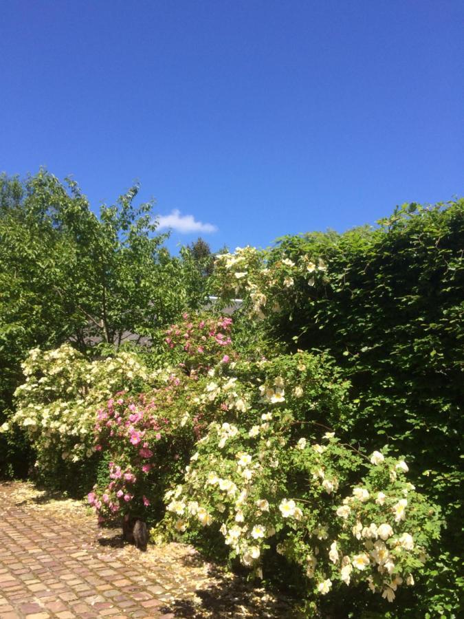 De Ma Fenetre Bed & Breakfast Saint-Martin-des-Entrees ภายนอก รูปภาพ